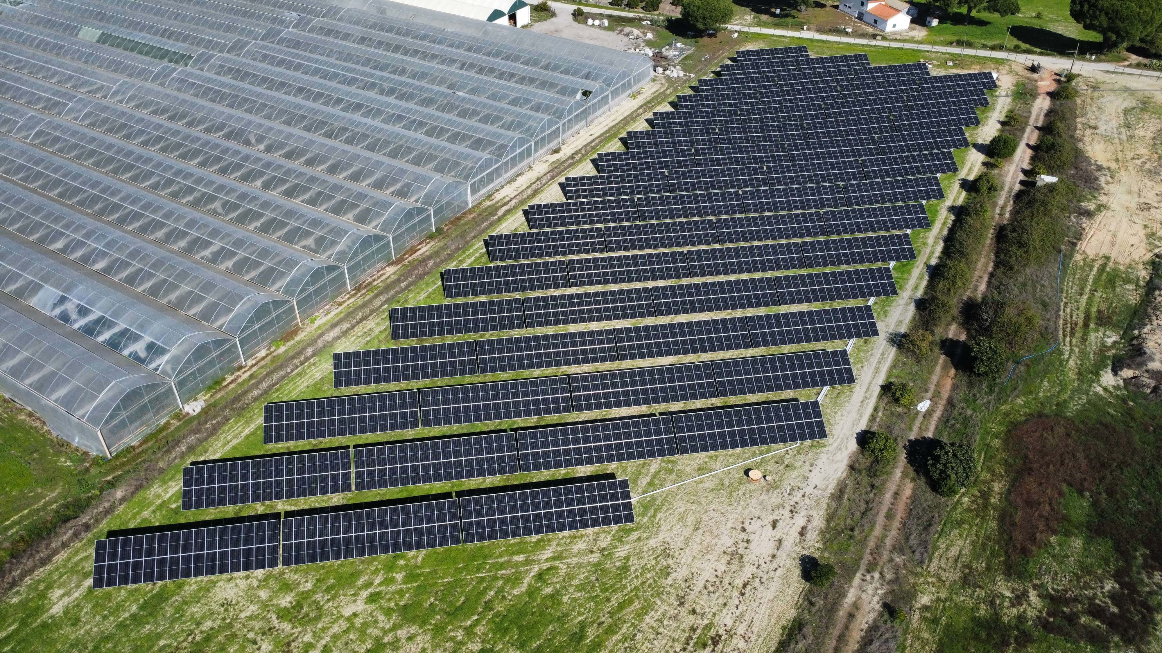 Painéis fotovoltaicos instalados na Batherafarm